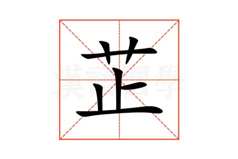 芷的五行|芷字五行属什么？